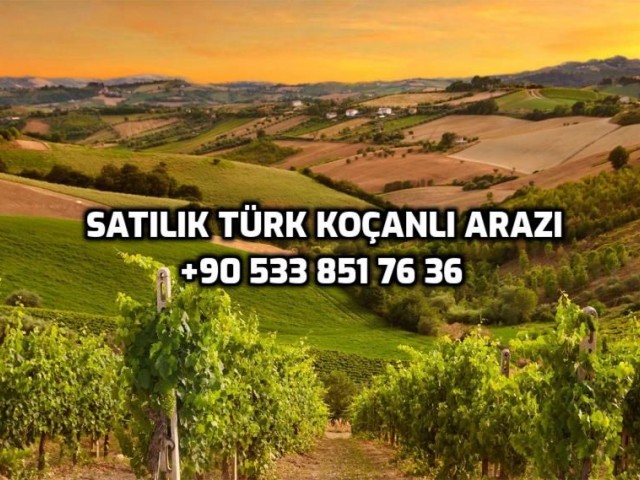 Bellapaiste Turkish kocanlı land with super dec dec for sale is a magnificent plot for a villa ** 