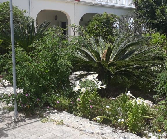 A LARGE DETACHED VILLA WITH A GARDEN FOR SALE VERY CLOSE TO THE SEA IN KYRENIA KARAOGLANOGLU ** 