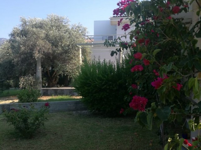 Villa Mieten in Bellapais, Kyrenia