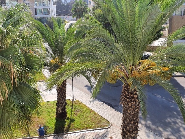 Kyrenia Central 4+1 Apartment Rental