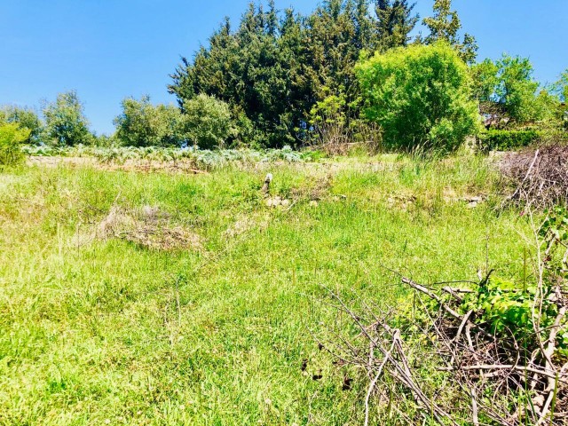 Land for sale in İlgaz, Kyrenia