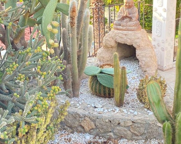 Villa Mieten in Esentepe, Kyrenia