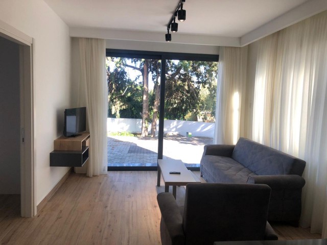 1+1 apartment for rent  in Ozanköy