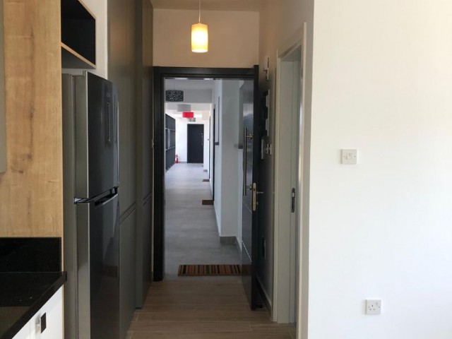 1+1 apartment for rent  in Ozanköy