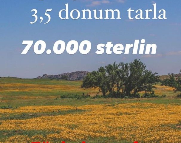 Arapköyde  satılık 3.5 dönüm tarla, Türk koçanlı