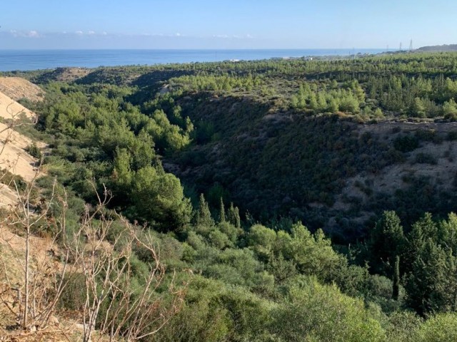 منطقه مسکونی برای فروش in Çatalköy, گیرنه