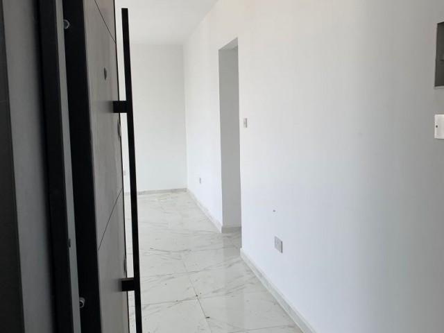 2+1 apartments, ground floor and penthouse for sale in Ozankoy