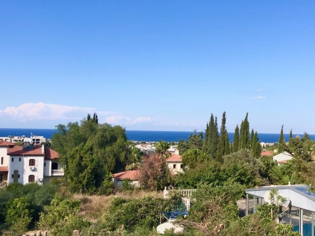 3+1 villa for sale in Edremit on 1 acre + ready project! with Turkish tıtle