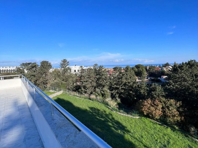 Spacious 4+1 villa for sale in Alsancak