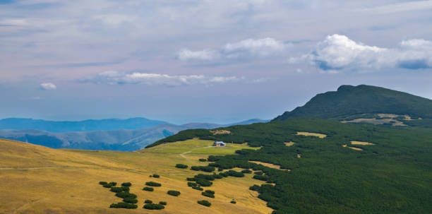 Tatlısu’da satılık 14 dönüm arazı