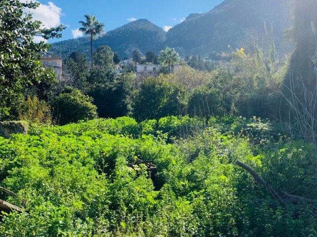 منطقه مسکونی برای فروش in Lapta, گیرنه