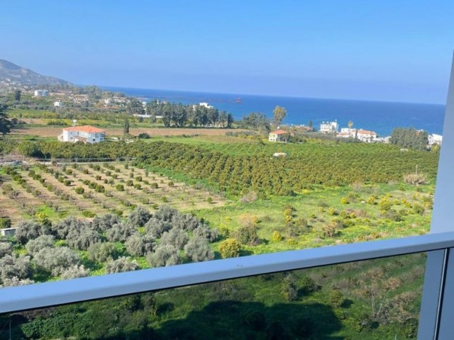 1+1 apartment for sale in Lefka