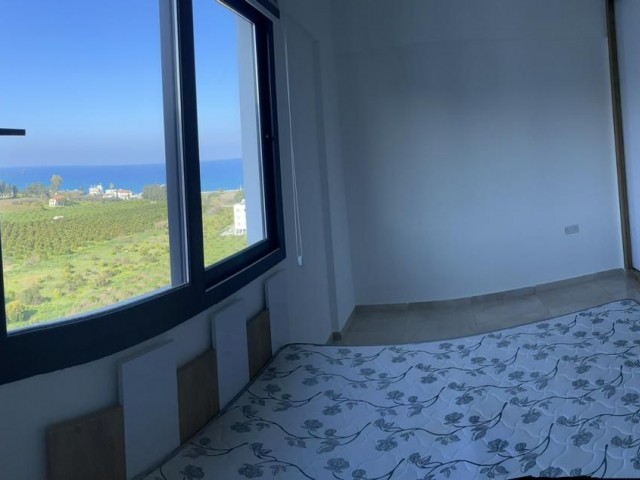 1+1 apartment for sale in Lefka