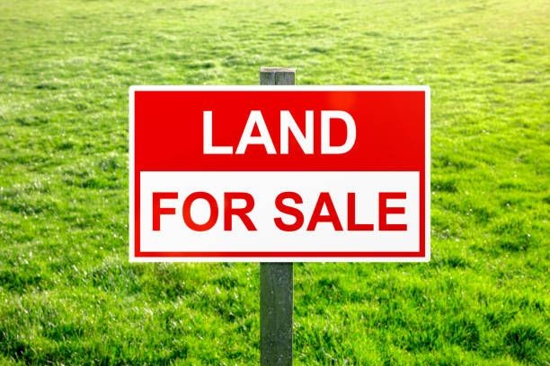 LAND FOR SALE IN OLIVE GROVE WITH ALL INFRASTRUCTURE READY