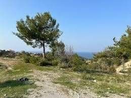 For Sale 35 acres 250 meters to the sea, Kyrenia, Esentepe Region