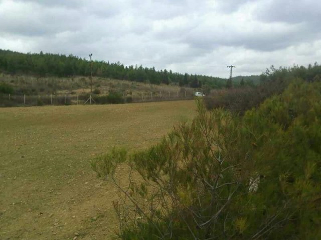 Land for sale in Edirne Keşan