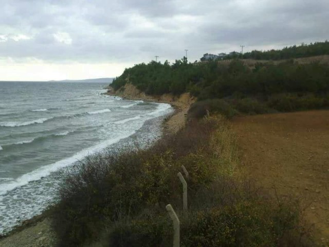 Land for sale in Edirne Keşan