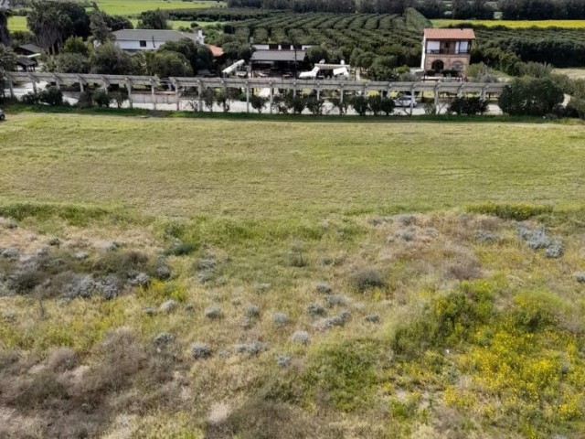 2+1 Wohnung zum Verkauf in Güzelyurt, Gaziveren