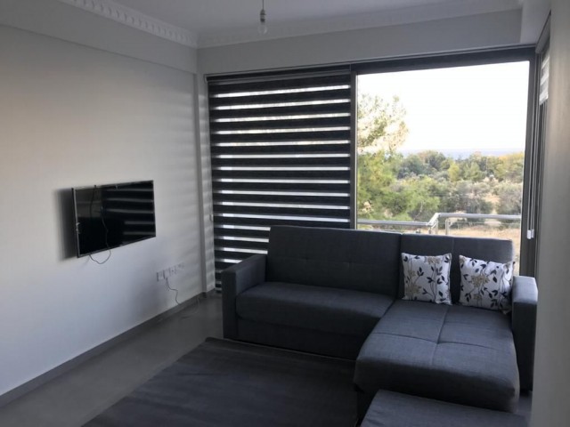 1+1 fully furnished apartment for sale in olive grove, taxes paid