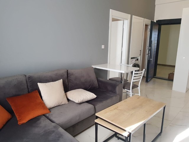 1+1 super lux apartment for rent in Alsancak