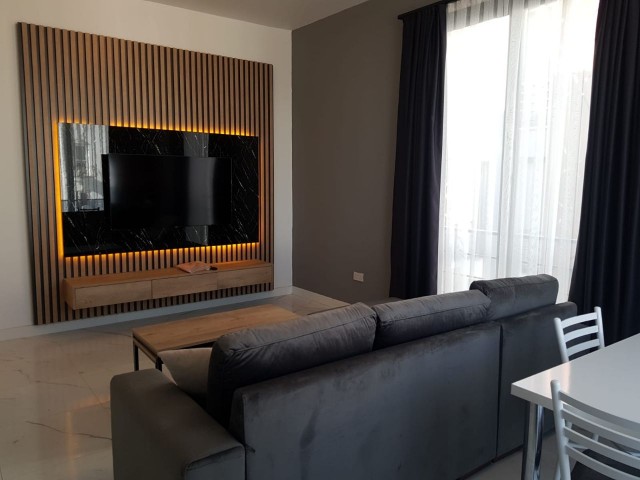 1+1 super lux apartment for rent in Alsancak