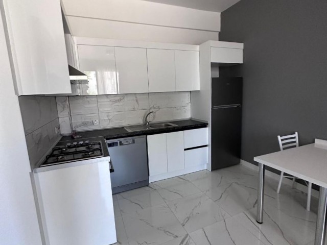 1+1 fully furnished apartment for rent in Alsancak