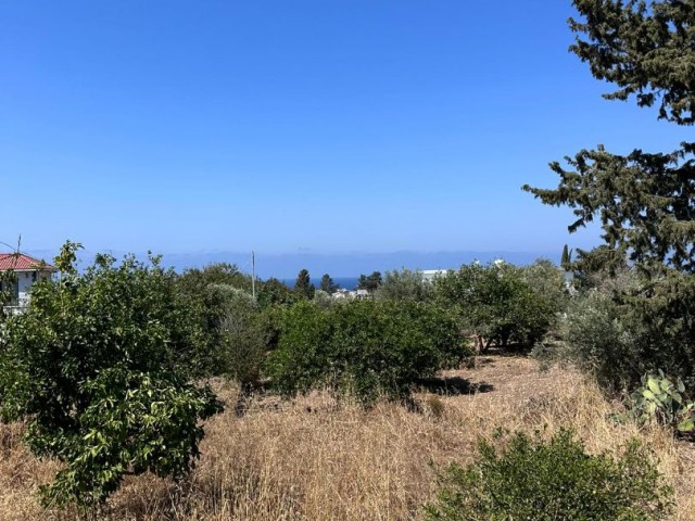 2 acres of land for sale in Karşıyaka, with Turkish title !!!!