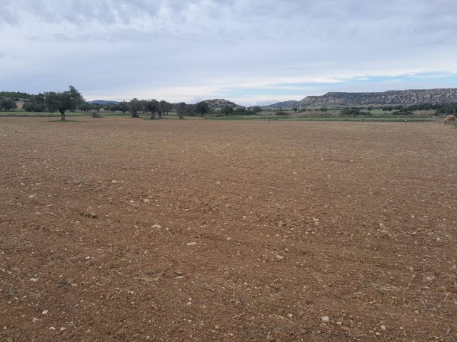 LAND FOR SALE IN İSKELE/ KUMYALI