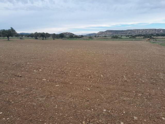 İSKELE/ KUMYALI DA  SATILIK  ARAZİ/ LAND FOR SALE IN İSKELE/ KUMYALI