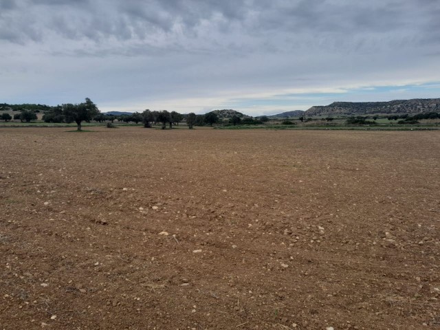 LAND FOR SALE IN İSKELE/ KUMYALI