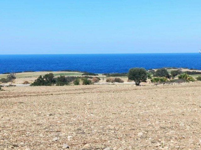 26,5 Hektar Land mit Meer- und Bergblick zu verkaufen, Thermalquellengebiet