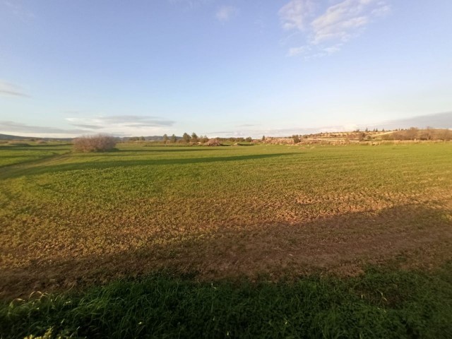 İSKELE/ ZEYBEKKÖY DE  SATILIK  ARAZİ/ LAND FOR SALE IN İSKELE/ ZEYBEKKÖY