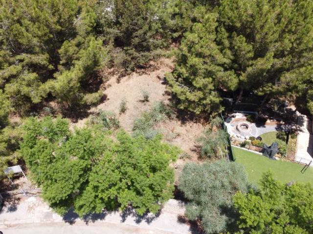 659 m² Opportunity Land for Sale in Kyrenia Bellapais Deeded Villas Area with 35% Zoning