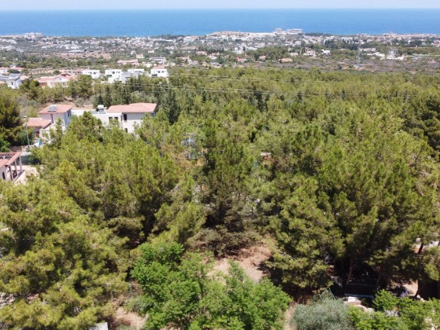 659 m² Opportunity Land for Sale in Kyrenia Bellapais Deeded Villas Area with 35% Zoning