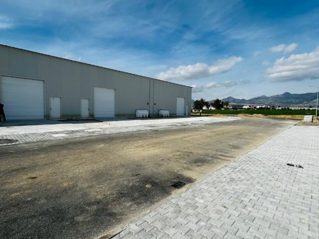  WAREHOUSE FOR RENT IN THE INDUSTRIAL ZONE IN HASPOLAT LEFKOŞA 