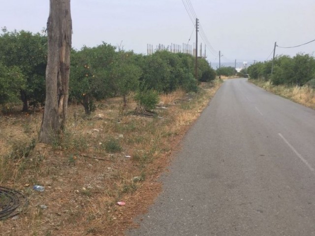 Residential Zoned Plot For Sale in Gemikonağı, Lefke