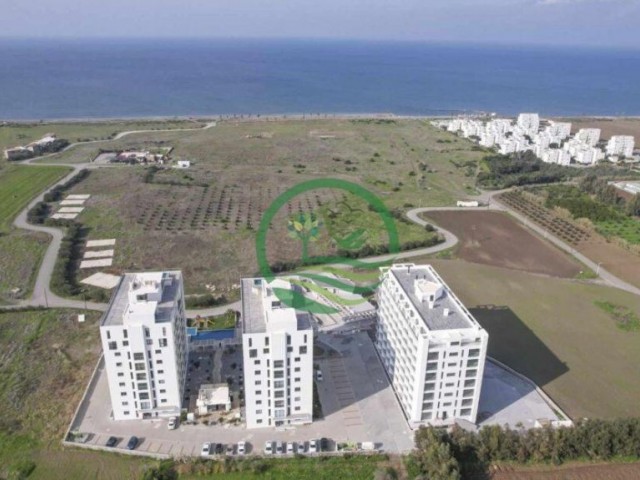 1+1 FLATS FOR SALE IN GUZELYURT GAZİVEREN