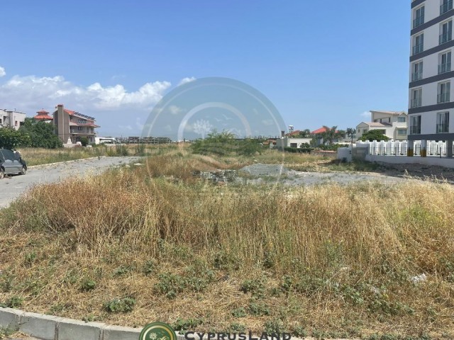 for sale land at yenibogazici