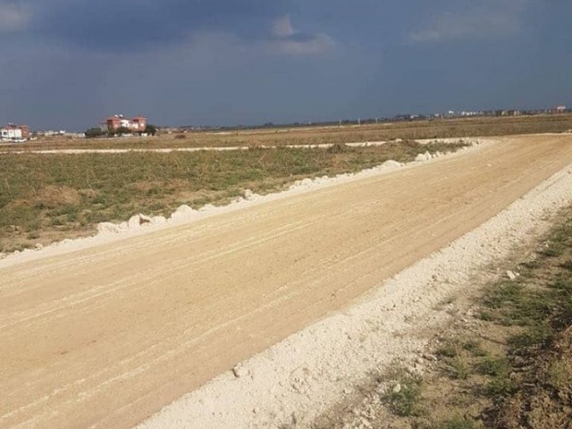 Long Beach Satılık Arsalar