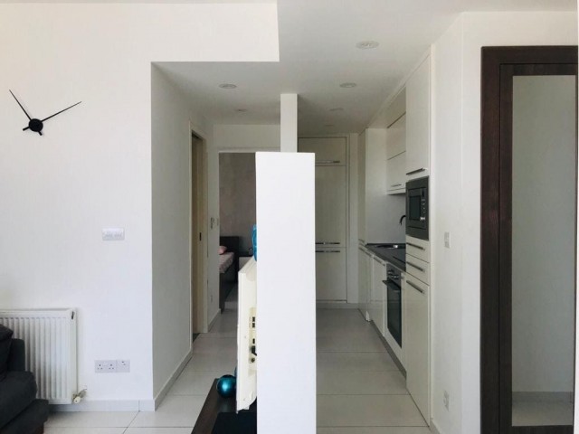 1 + 1 Penthouse zum Verkauf in Sakarya für Informationen:05338867072 ** 