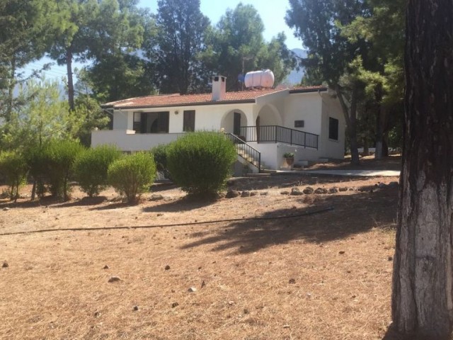 Einfamilienhaus Mieten in Girne Merkez, Kyrenia