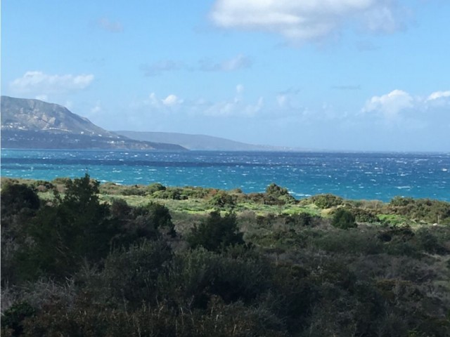 KARŞIYAKA' NIN ELİT BÖLGESİNDE  DENİZE  YÜRÜME MESAFESİ  830 m2 arazi içinde biri bitmiş diğerinin projesi hazır villa 