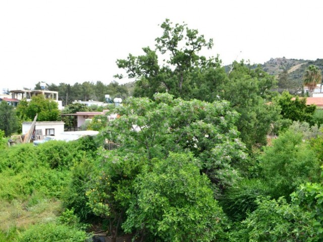 Eben Mieten in Alsancak, Kyrenia