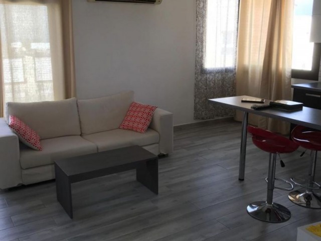 1+1 PENTHOUSE FOR RENT NEAR STARLING MARKET