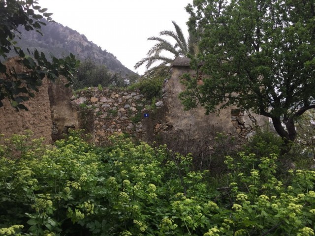 Turkish title RUIN located in  KARSIYAKA village