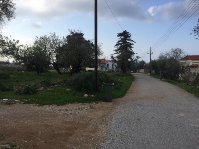 BEAUTIFUL STONE HOUSE IN ESENTEPE WITH GARDEN- needs the skillfull hands to renovate