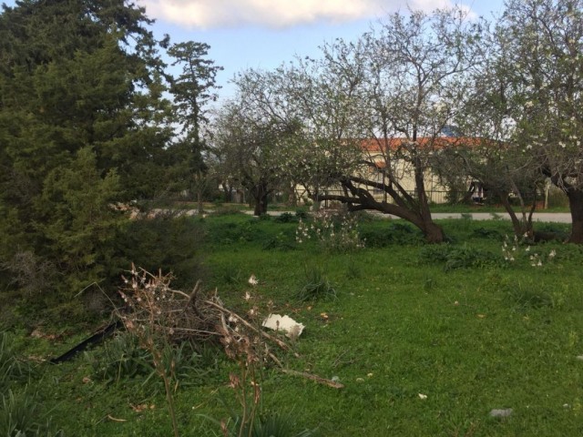 BEAUTIFUL STONE HOUSE IN ESENTEPE WITH GARDEN- needs the skillfull hands to renovate