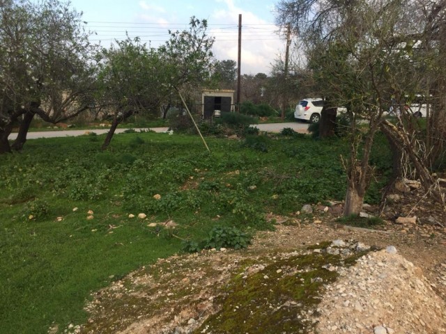 BEAUTIFUL STONE HOUSE IN ESENTEPE WITH GARDEN- needs the skillfull hands to renovate