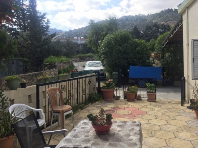 2 Cypriot type of  Houses in Lapta with beautiful citruc tree garden.