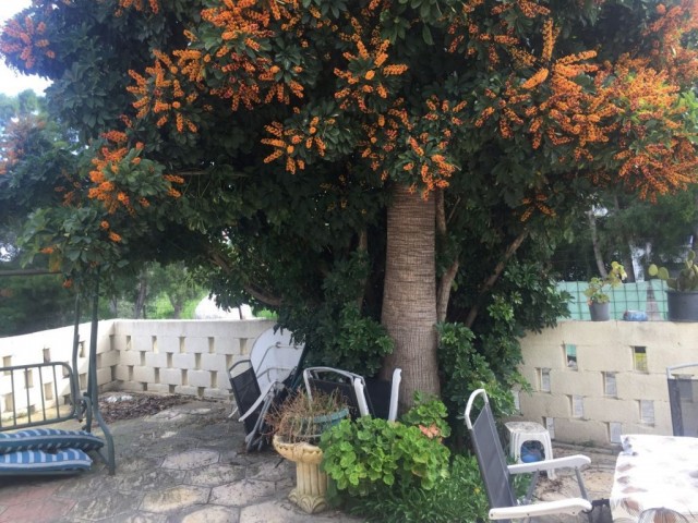 In Kyrenia, Lapta 2 Einfamilienhäuser mit Garten ** 